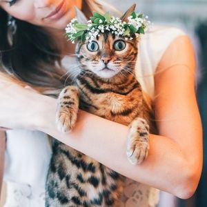 Meet your Posher, Michelle